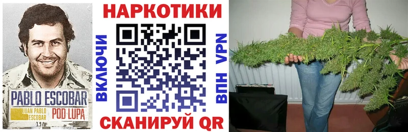 Цена Анива блэк спрут как войти Меф Псилоцибиновые грибы Кокаин АМФЕТАМИН APVP